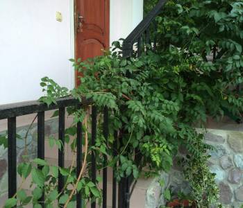 Сдается Комната, 15 м²