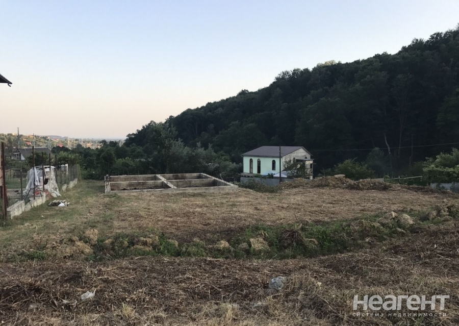 Фотография №2