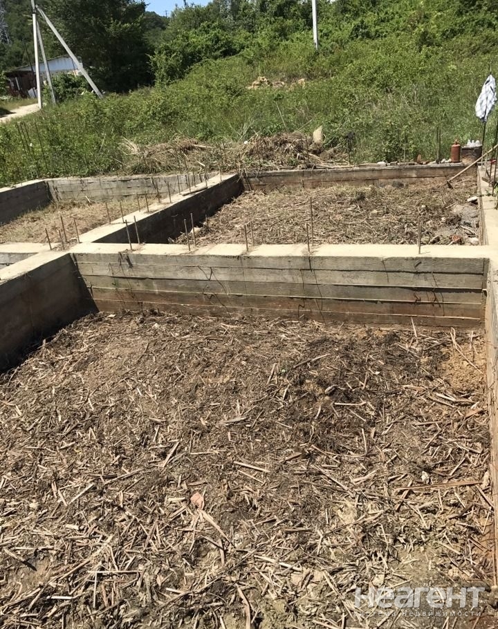 Фотография №4