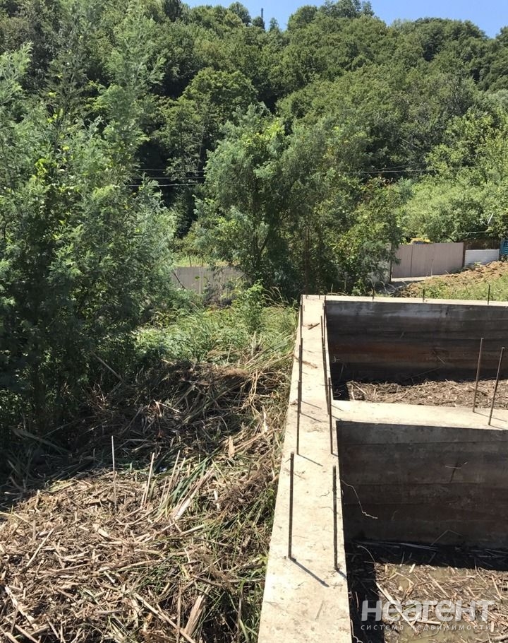 Фотография №5