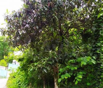 Продается Участок, 740 м²