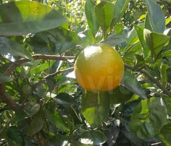 Продается Дом, 160 м²