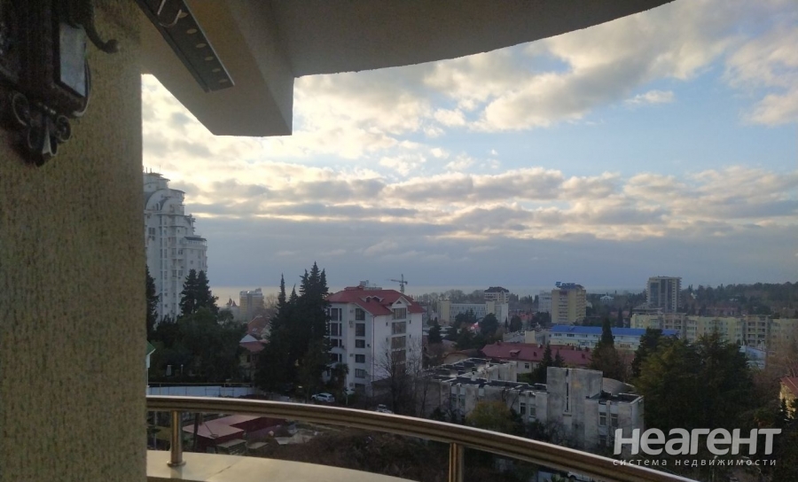 Фотография №2