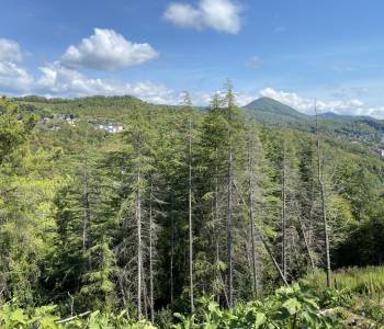 Продается Участок, 1000 м²