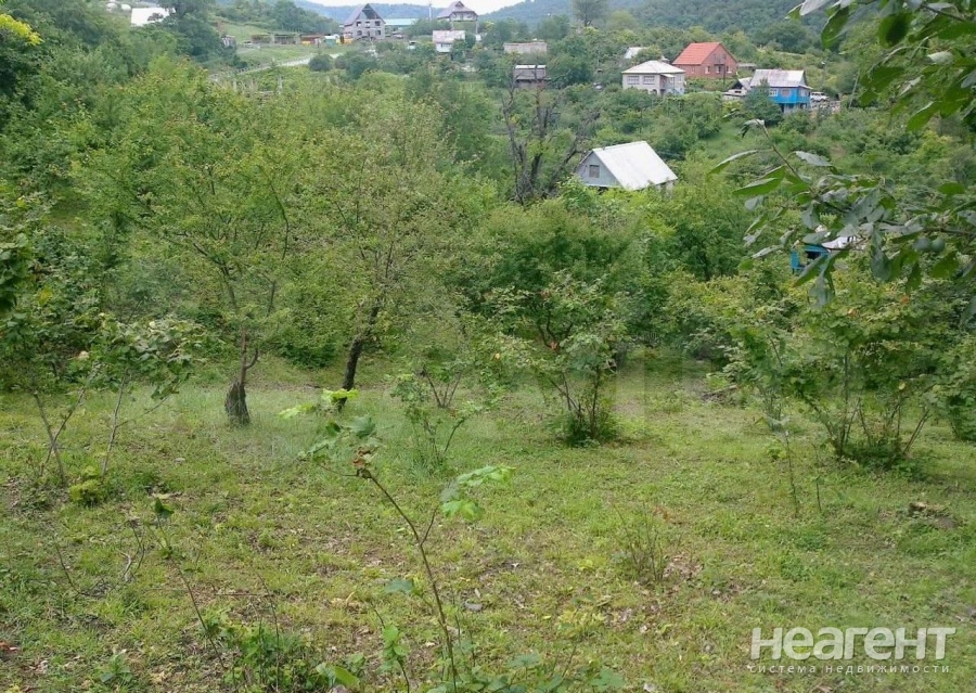 Участок лазаревское. Тихоновка Лазаревский район. Село Шхафит Сочи Краснодарский. Шхафит Лазаревский район. Лазаревское село Шхафит.