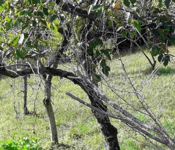 Продается Участок, 820 м²