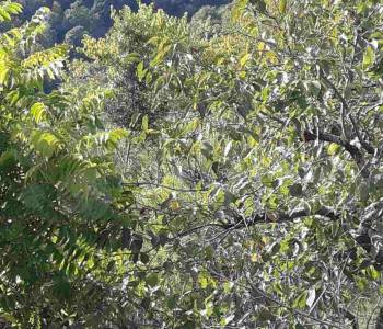 Продается Участок, 820 м²