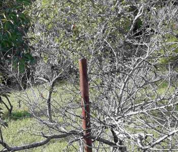 Продается Участок, 820 м²