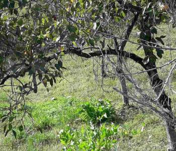 Продается Участок, 820 м²