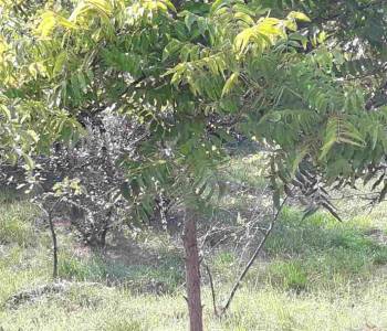 Продается Участок, 820 м²