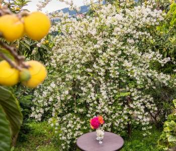 Продается Дом, 100 м²