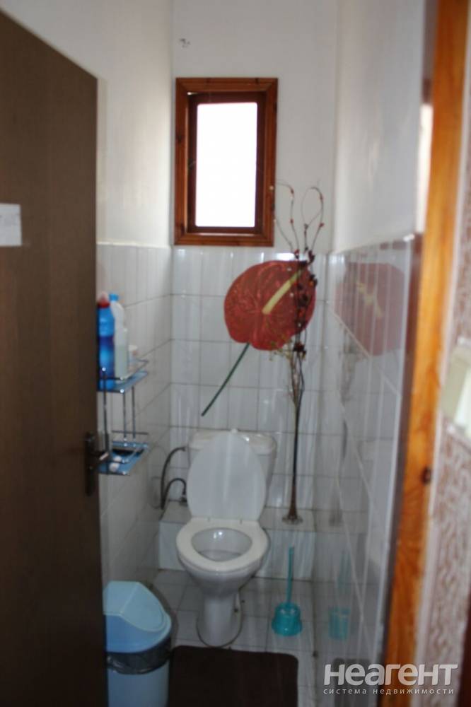 Фотография №8