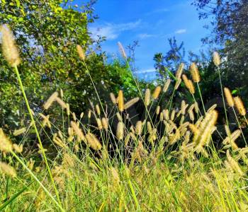 Продается Дом, 100 м²