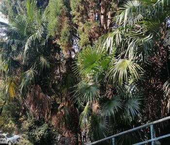 Продается 1-комнатная квартира, 18 м²