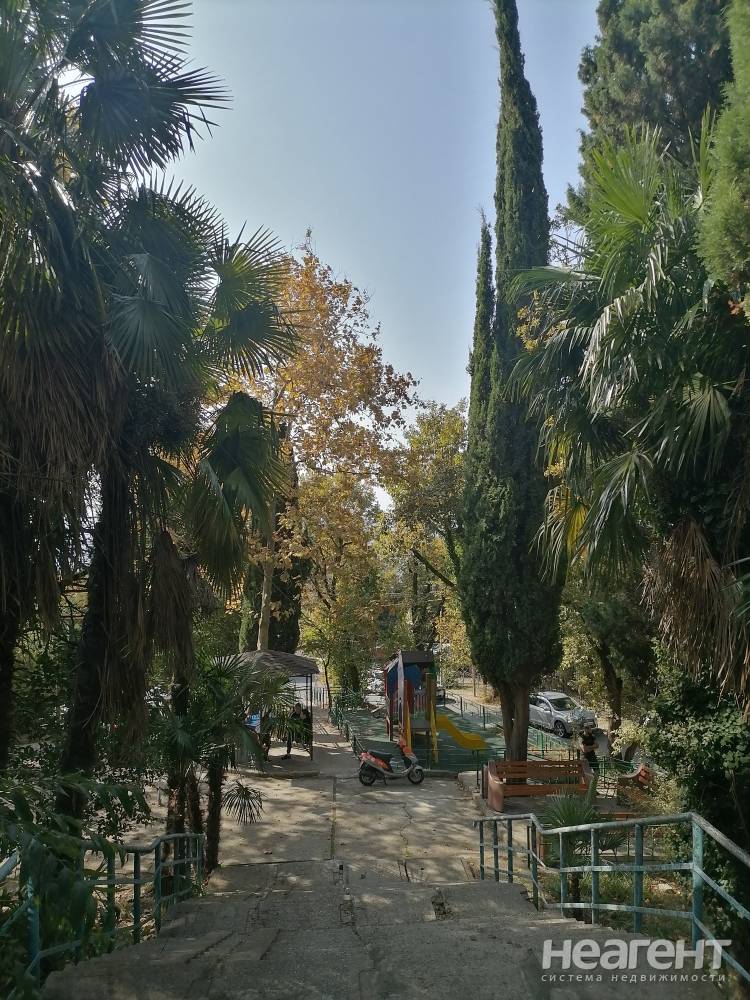 Фотография №3