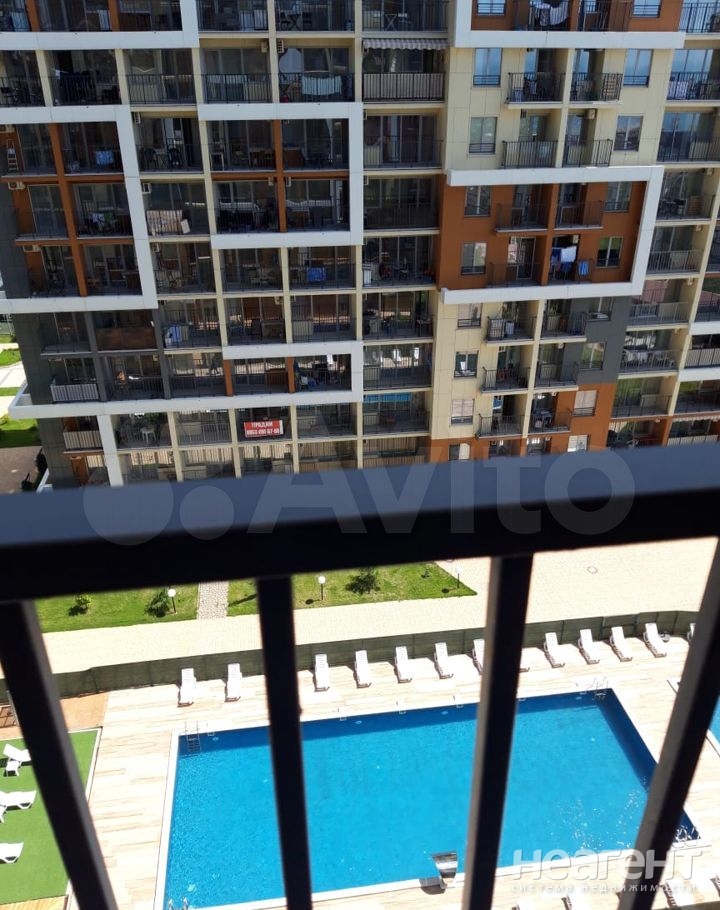 Фотография №5