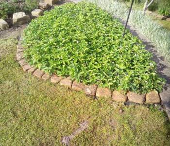 Продается Участок, 460 м²