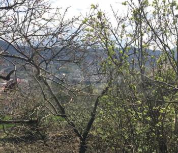 Продается Участок, 3200 м²