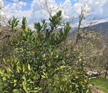 Продается Участок, 3200 м²