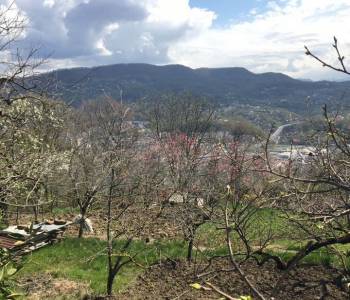 Продается Участок, 3200 м²