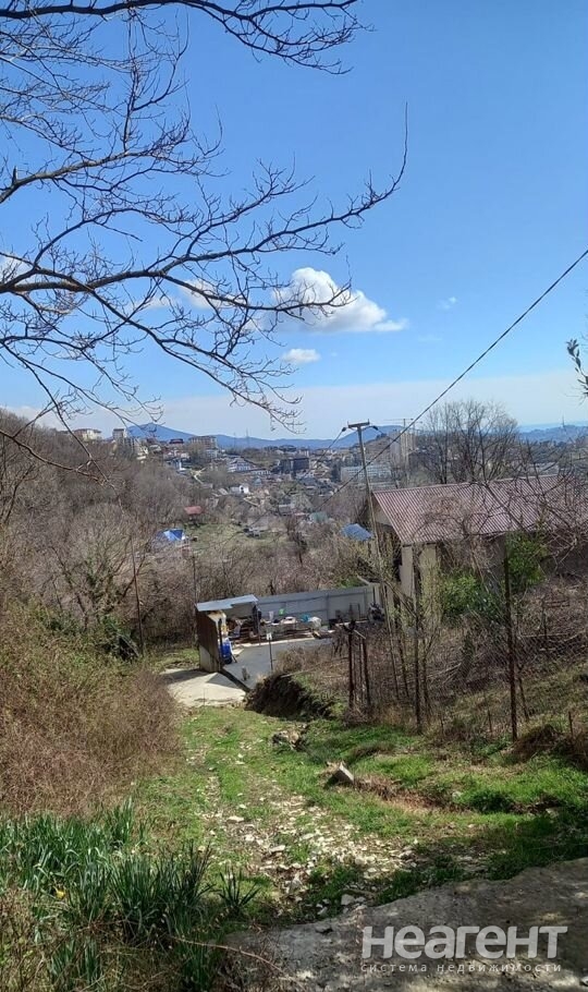 Фотография №2