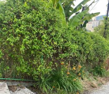 Продается Участок, 300 м²