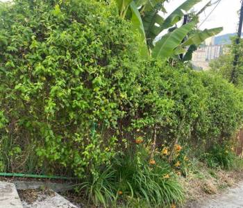 Продается Участок, 300 м²