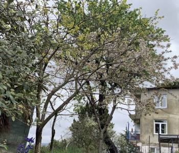 Продается Дом, 220 м²