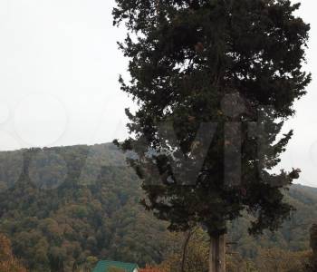 Продается Участок, 600 м²