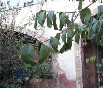 Сдается Дом, 160 м²