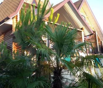 Продается Дом, 280 м²