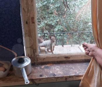 Продается 2-х комнатная квартира, 56 м²