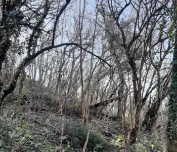 Продается Участок, 600 м²