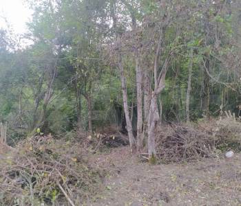 Продается Участок, 500 м²