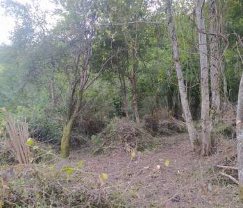 Продается Участок, 500 м²