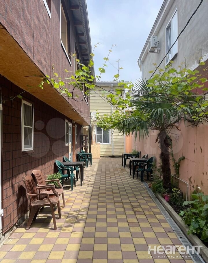 Фотография №5