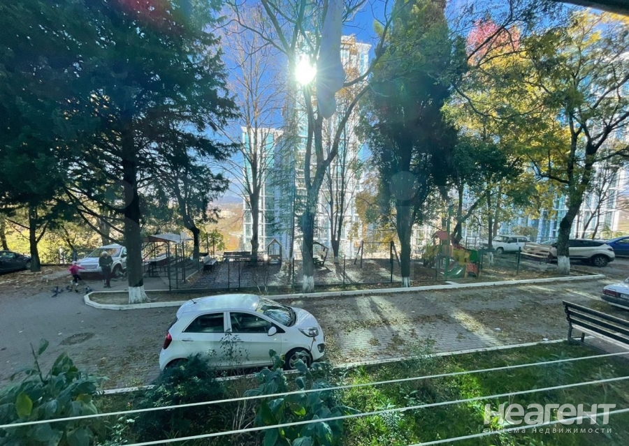 Фотография №4