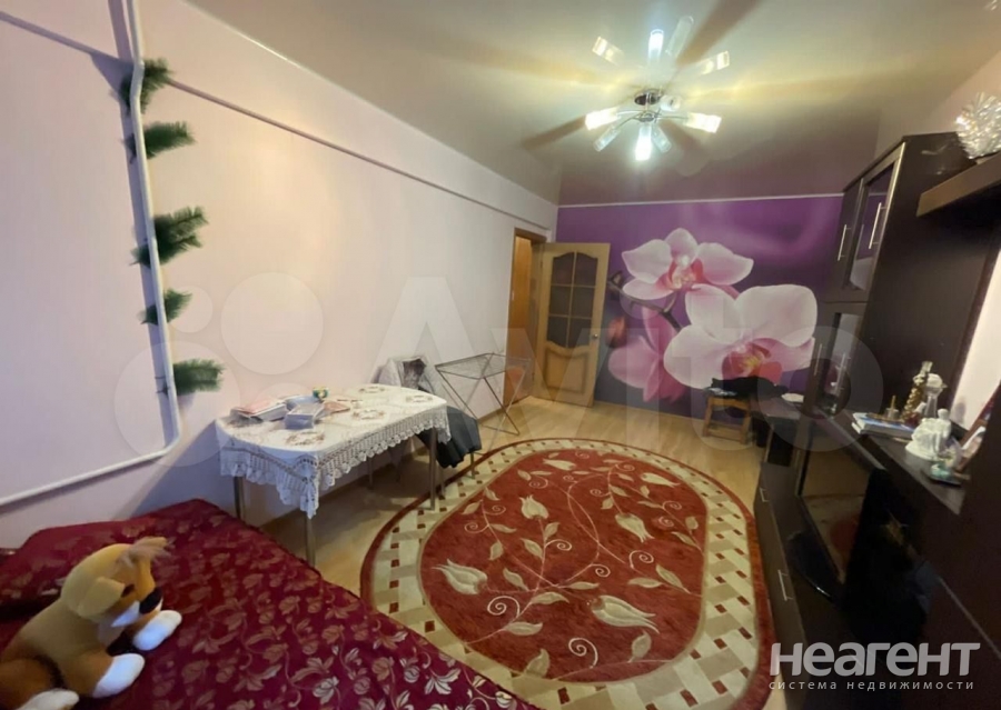 Фотография №5