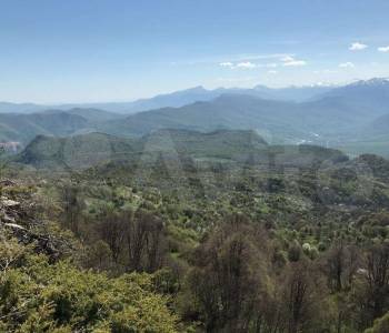 Продается Участок, 28000 м²