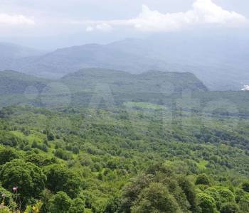 Продается Участок, 28000 м²