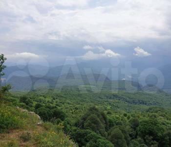 Продается Участок, 28000 м²