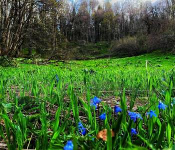 Продается Участок, 28000 м²