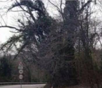 Продается Участок, 520 м²