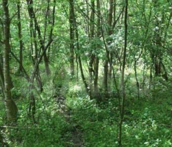 Продается Участок, 590 м²