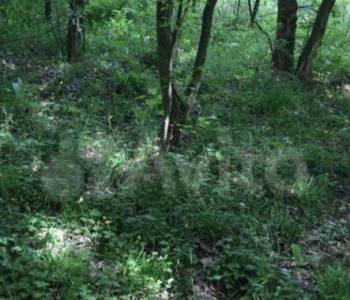 Продается Участок, 590 м²