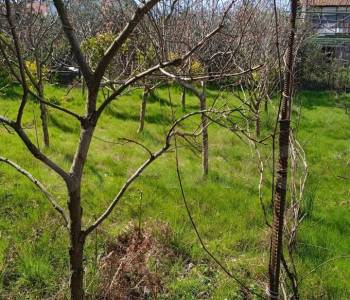 Продается Участок, 500 м²