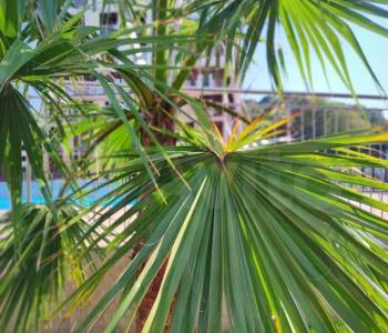 Продается 1-комнатная квартира, 28,9 м²