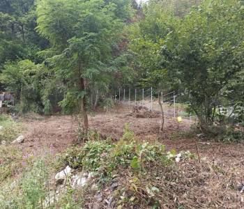 Продается Участок, 500 м²