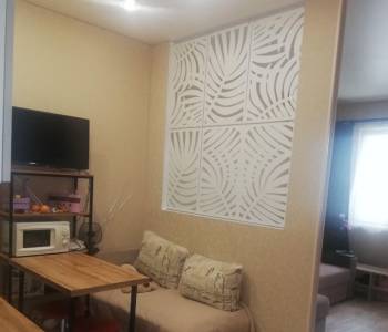 Продается 1-комнатная квартира, 30,2 м²