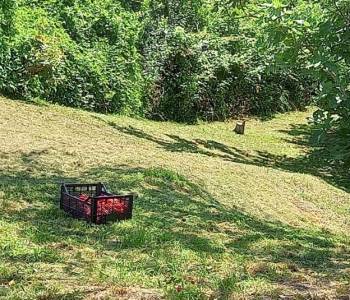 Продается Участок, 1300 м²